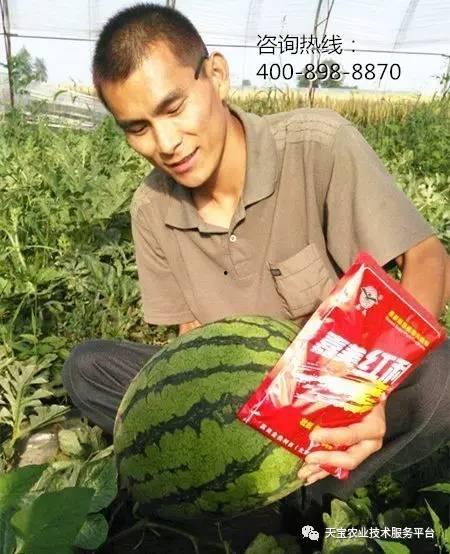 泗水吃瓜事件详解,一场引发社会热议的网络风波深度解析