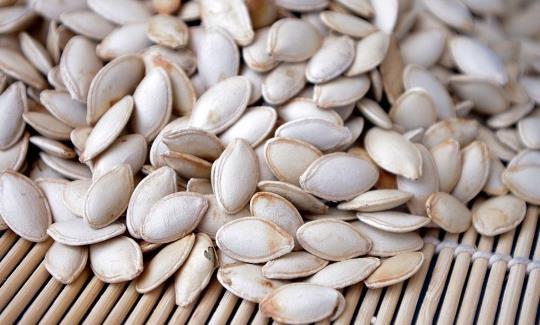 茭瓜可以吃籽吗,美味与营养的双重享受