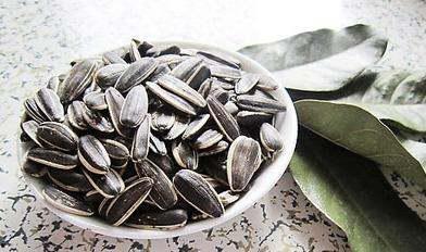 吃瓜壳瓜子视频,揭秘短视频背后的趣味与智慧