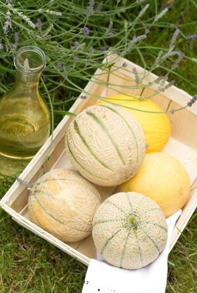 陕北白色瓜怎么吃,解锁美味新体验