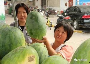 保定小区吃瓜事件,邻里纷争背后的社区现象解析