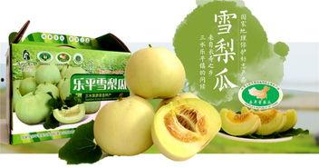 广东吃瓜怎么读,吃瓜群众的独特发音