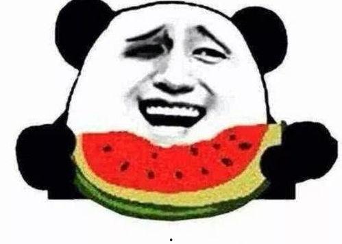 吃瓜群众菜狗鼓掌,吃瓜群众热议