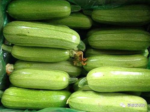 茭瓜怎么吃有营养,多样吃法助健康
