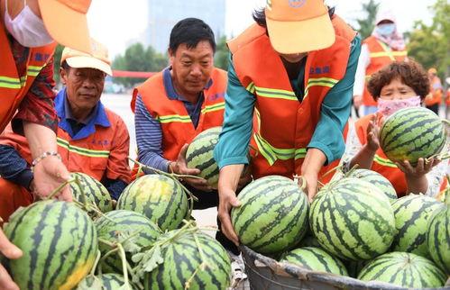 郯城最新吃瓜新闻,揭秘当地热门事件背后的真相