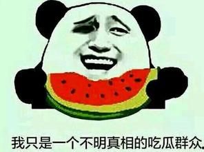 林玉竹吃瓜群众,吃瓜群众的美食探索之旅