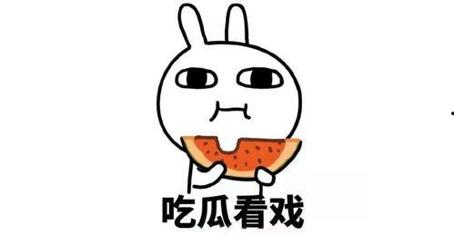 韩综搞笑吵架吃瓜,笑料百出！韩综搞笑吵架吃瓜大揭秘