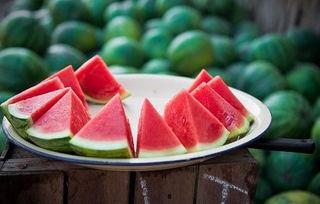 吃瓜的六六,揭秘娱乐圈背后的那些事儿