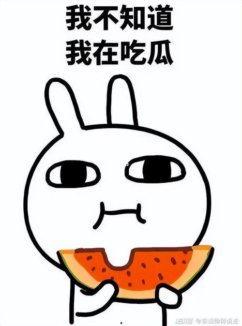 叮叮喵吃瓜,揭秘娱乐圈那些不为人知的幕后故事