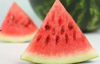 吃瓜58 cn,带你领略网络热点的魅力与真相