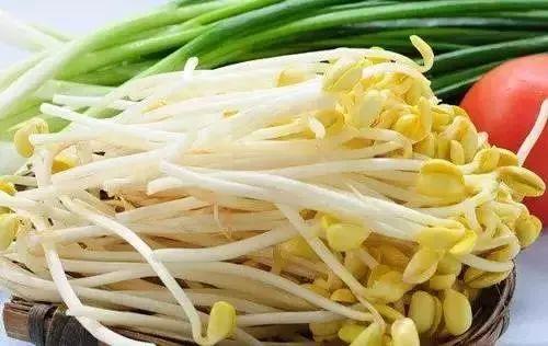 吃豆芽吃瓜,探寻夏日清新美食之旅