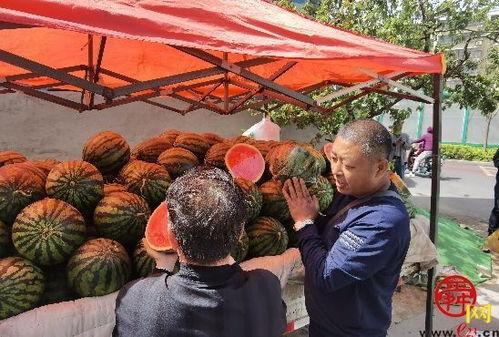 济南泉城里吃瓜