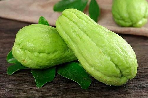 吃梢瓜能减脂么视频教程,跟随视频教程开启健康瘦身之旅