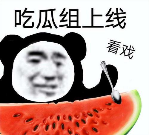 理智吃瓜打假视频,揭秘打假视频背后的真相