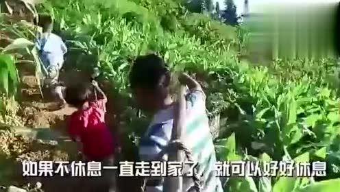 山东结婚吃瓜视频完整版,一场接地气的婚宴狂欢