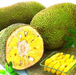 阿瓜吃菠萝蜜视频大全免费观看,免费观看视频大全