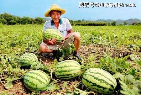 祥云路吃瓜的视频,揭秘街头美食背后的故事