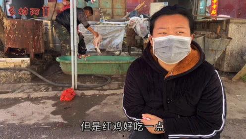 乡村阿董吃瓜视频,揭秘农村生活趣味瞬间