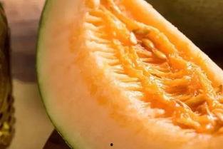 金陵蜜瓜怎么吃最好吃视频,视频教你如何吃出最佳口感