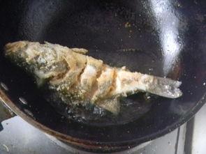 买鱼吃瓜的视频播放