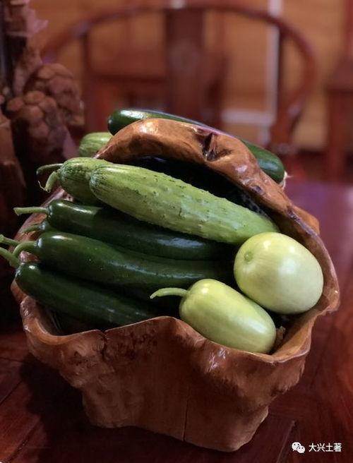 善堂网红吃瓜视频下载,善堂事件幕后揭秘